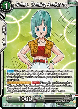 Bulma, Training Assistant