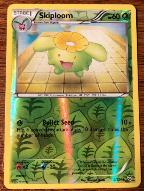 Skiploom