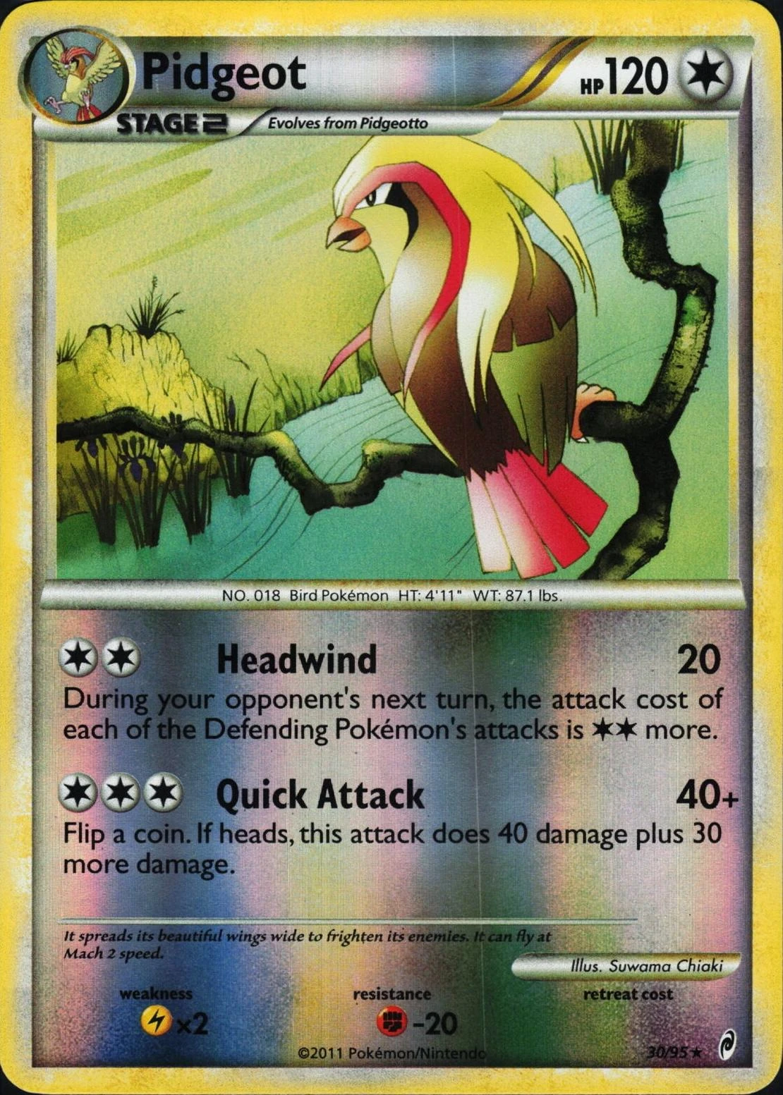 Pidgeot