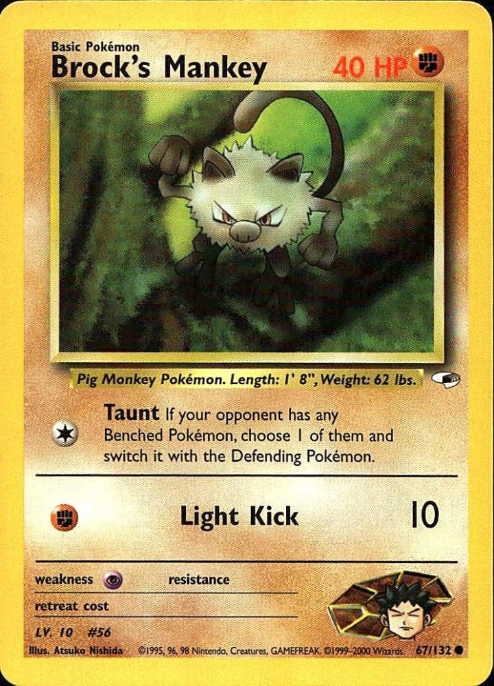 Brock's Mankey