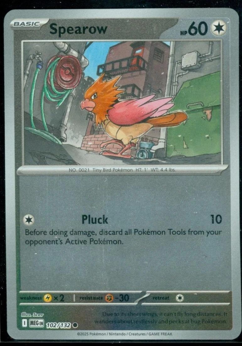 Spearow