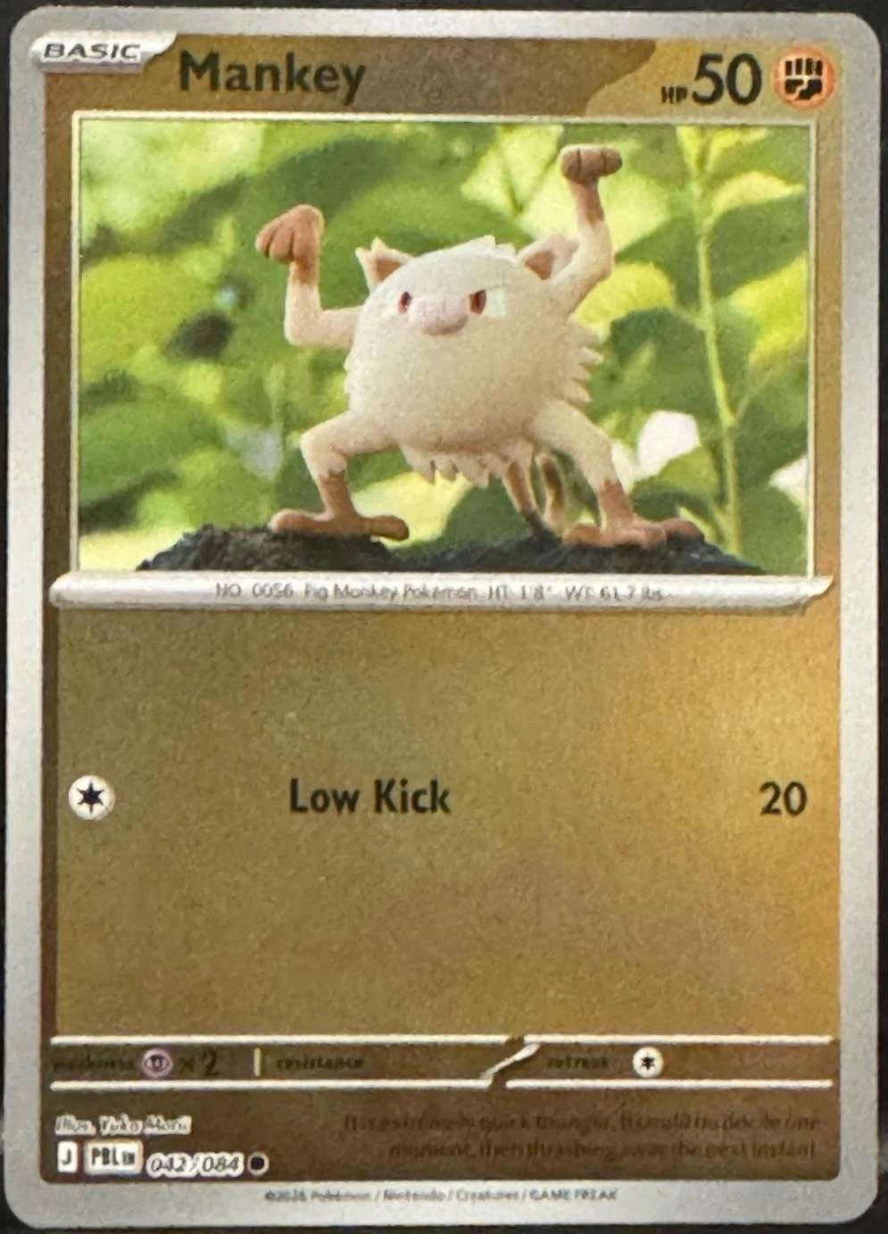 Mankey