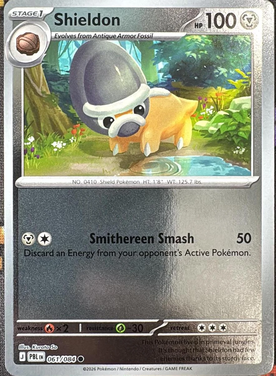 Shieldon