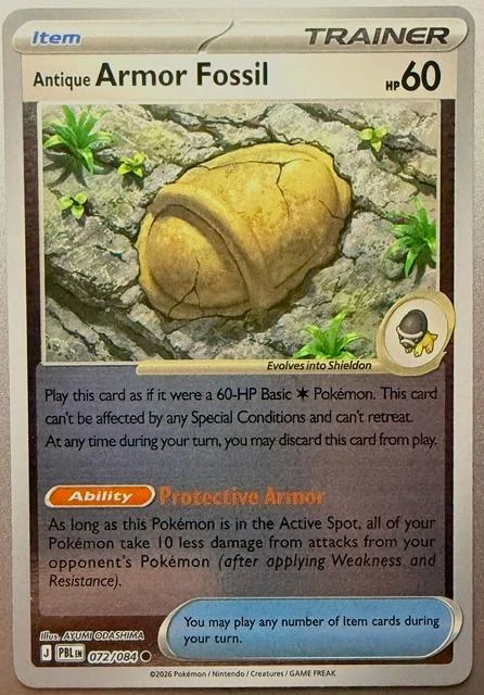 Antique Armor Fossil