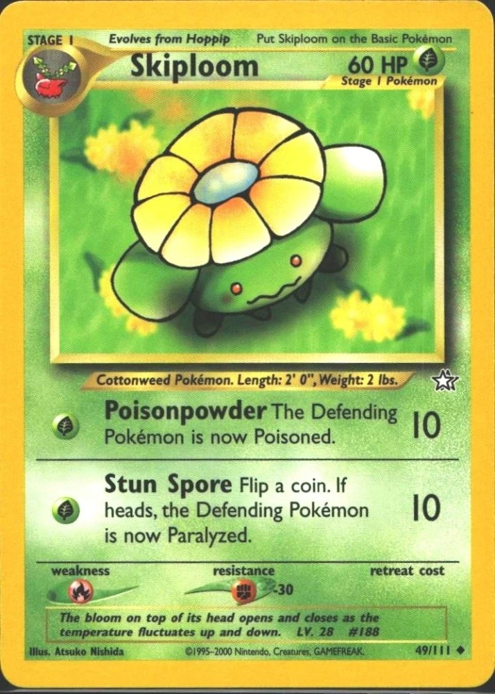 Skiploom