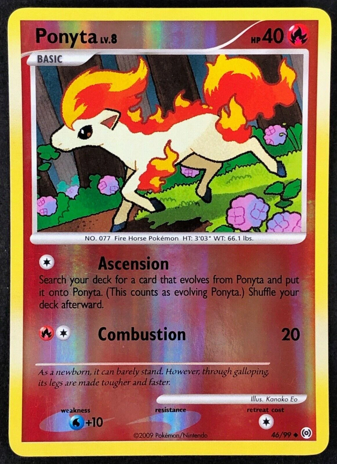 Ponyta