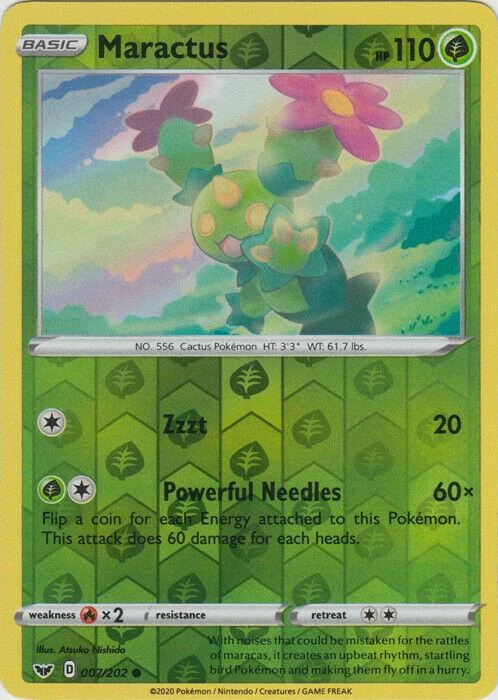 Maractus