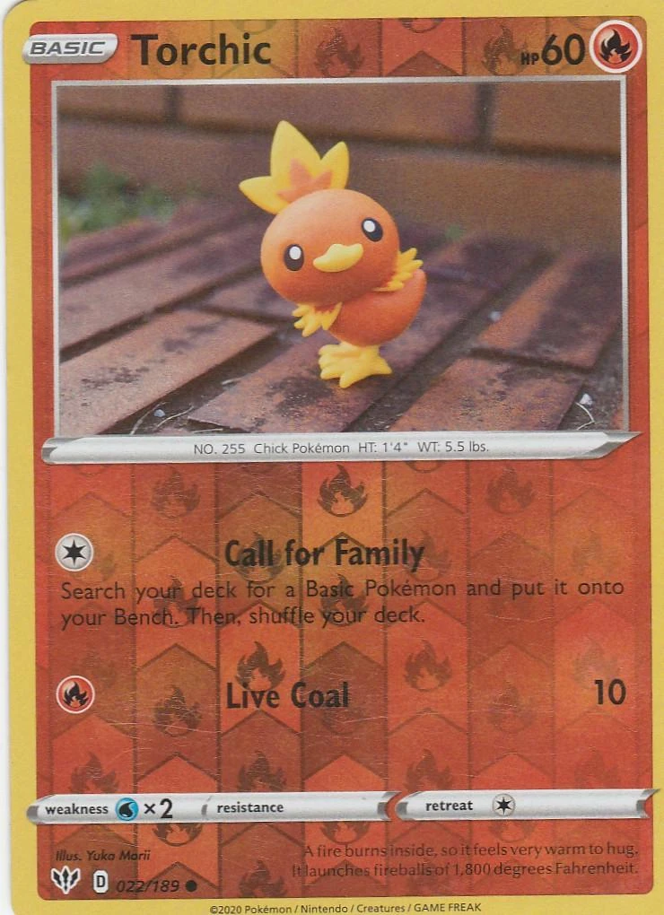 Torchic