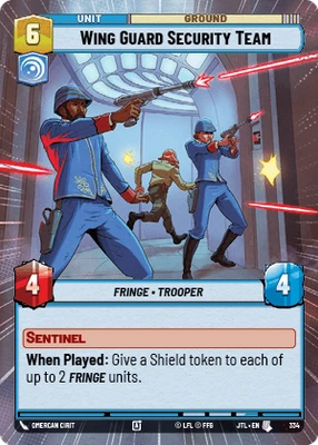 Wing Guard Security Team