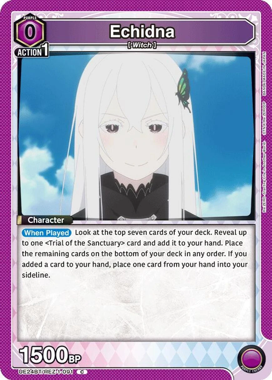 Echidna